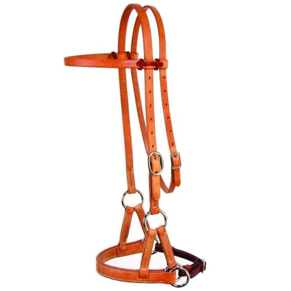 bridle lzb 001
