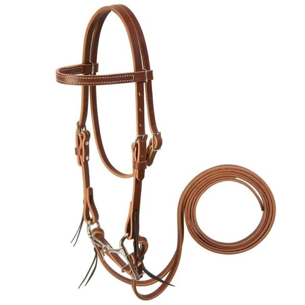 bridle lzb 001