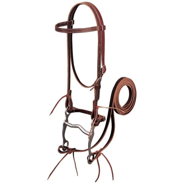 bridle lzb 001