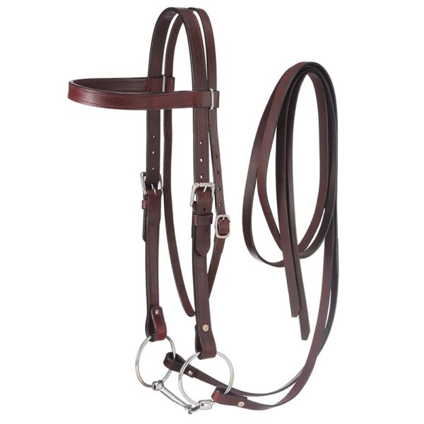 bridle lzb 001