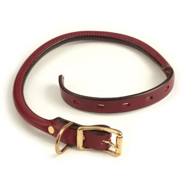 dogcollar lzd 001