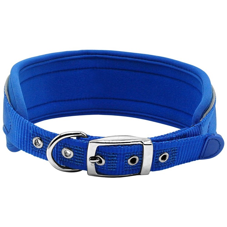 dogcollar lzd 001
