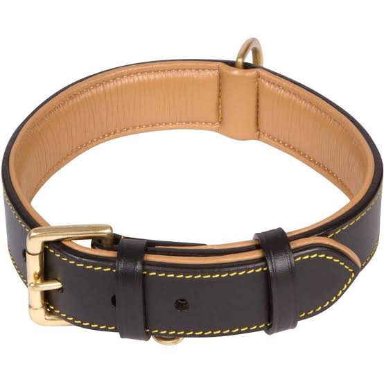 dogcollar lzd 001