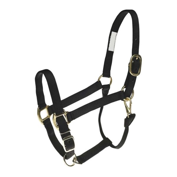 horse halter lzh 001 (copy)