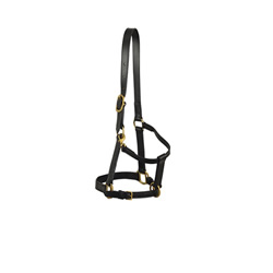 horse halter lzh 001