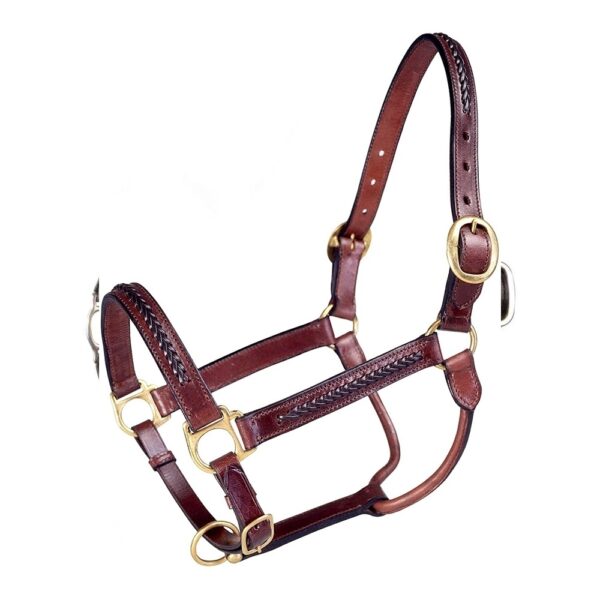 horse halter lzh 001 (copy)