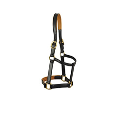 horse halter lzh 001 (copy)