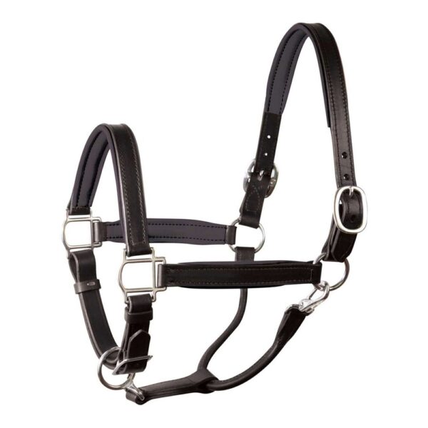 horse halter lzh 006