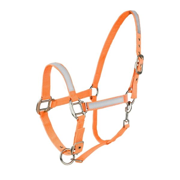 horse halter lzh 001 (copy) (copy)
