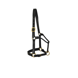 horse halter lzh 001 (copy) (copy)