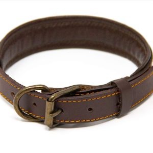 dogcollar lzd 001