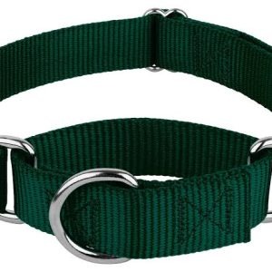 dogcollar lzd 001