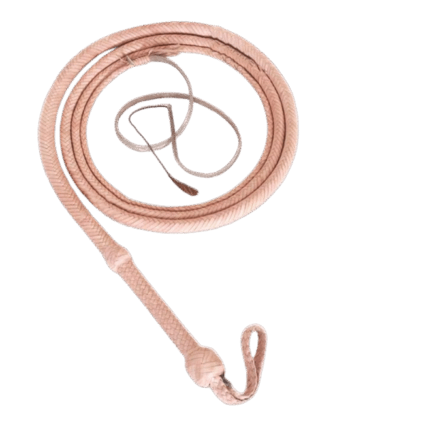 leather whips lzw 001 (copy)