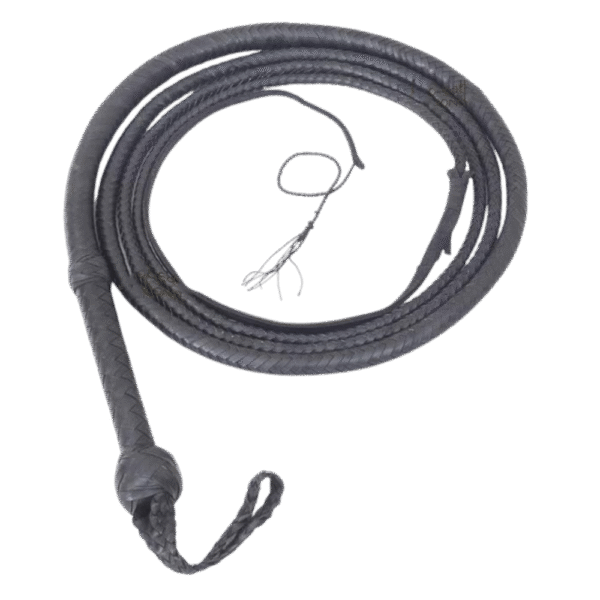 leather whips lzw 001 (copy)