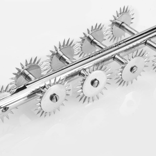 wartenberg pinwheels lzp 004
