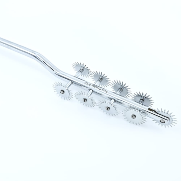 wartenberg pinwheels lzp 013