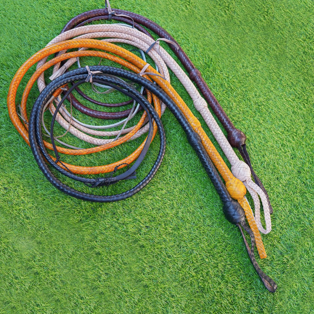 whips lzw 033