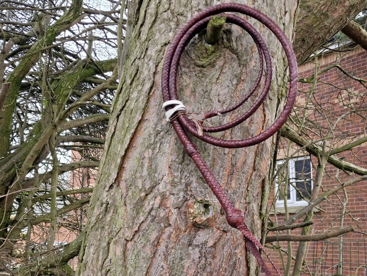 whips lzw 038