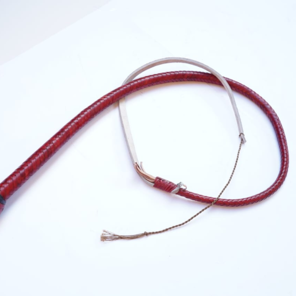 whips lzw 054