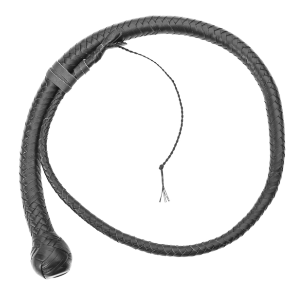whips lzw 055